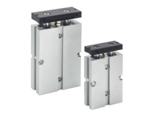 TN˫������ϵ��